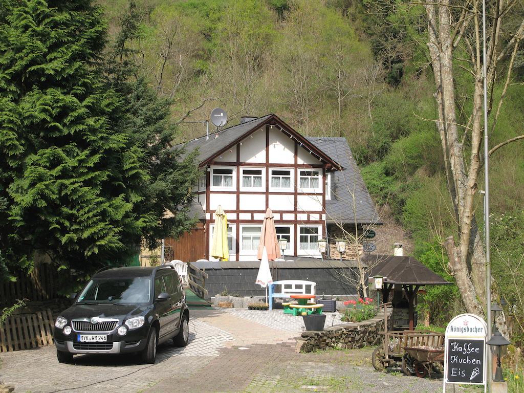 Pension & Apartments Linkemuehle Niederfell Exteriör bild